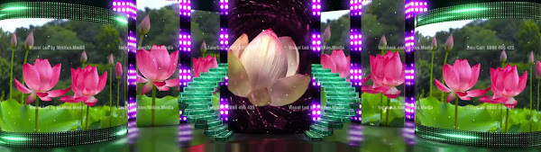 142 - Visual 3D - Ao Sen Hồng