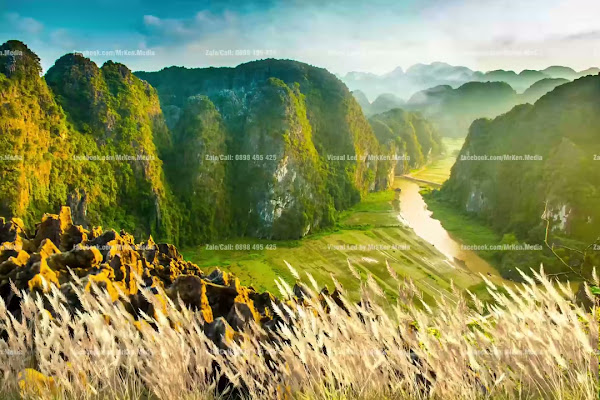 115 - Cỏ Lau Trang An - Việt Nam Hùng Vỹ