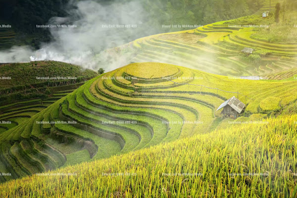 120 - Ruộng Bặc Thang - Tây Bắc