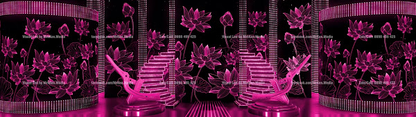 141 - Visual 3D - Sen Hồng
